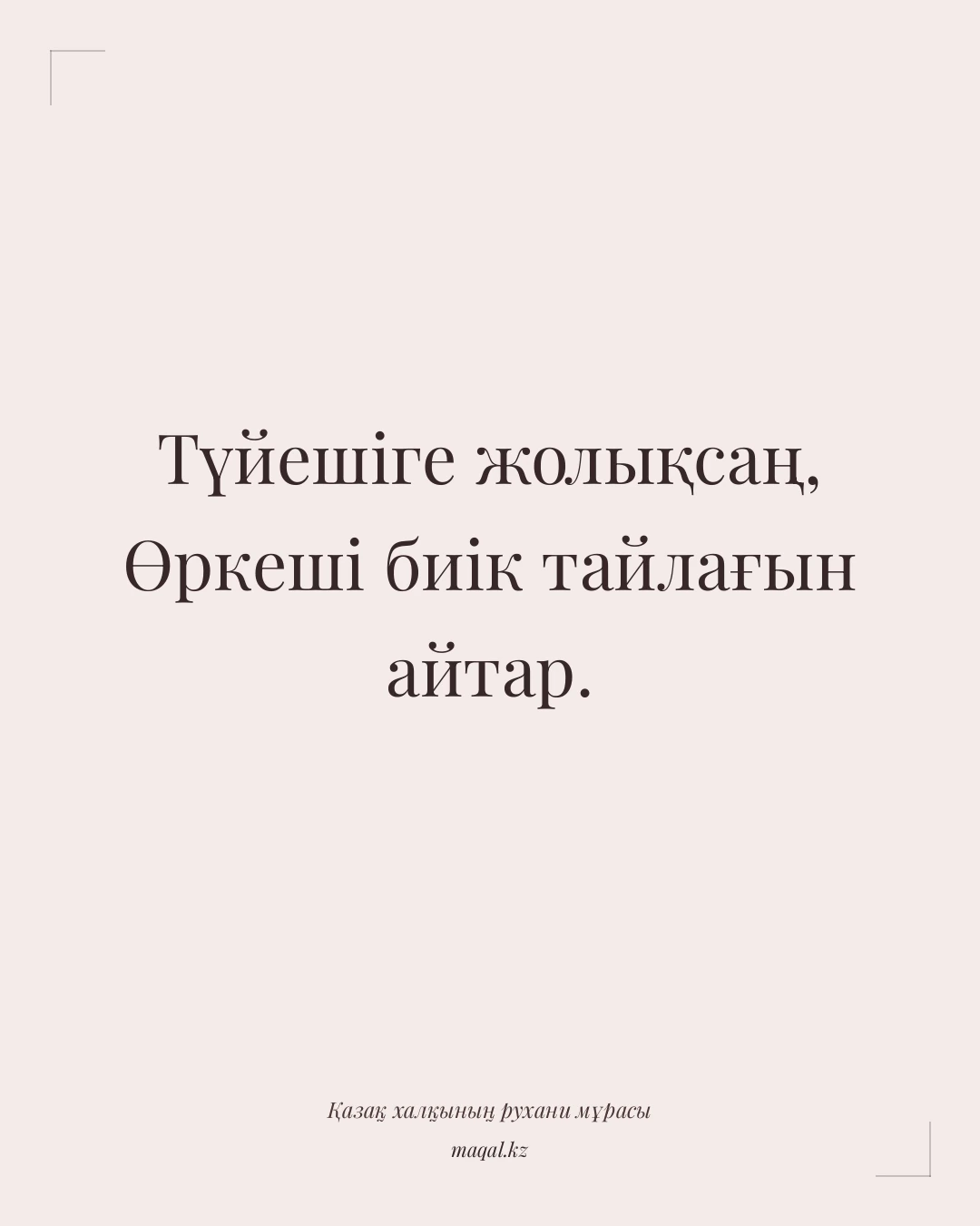 Түйешіге жолықсаң, Өркеші биік тайлағын айтар. — қазақша мақал