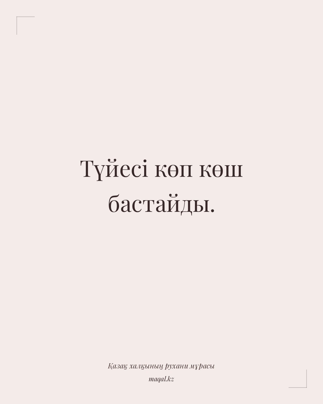 Түйесі көп көш бастайды. — қазақша мақал