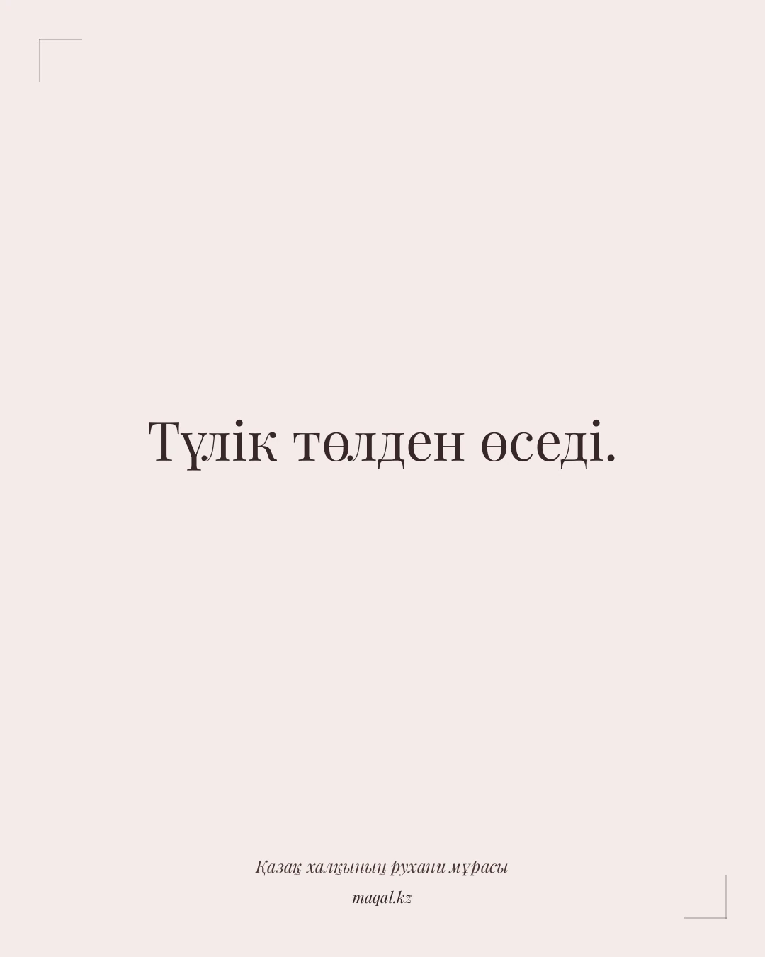 Түлік төлден өседі. — қазақша мақал