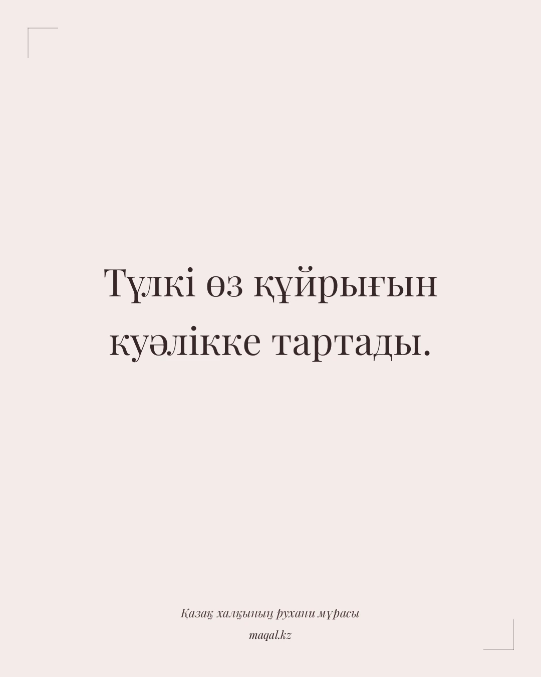 Түлкі өз құйрығын куәлікке тартады. — қазақша мақал