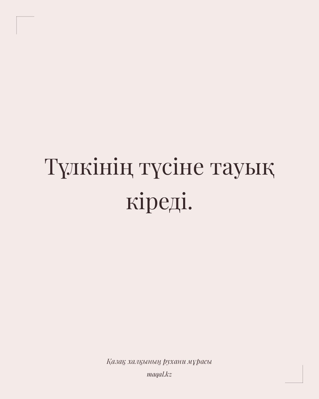 Түлкінің түсіне тауық кіреді. — қазақша мақал