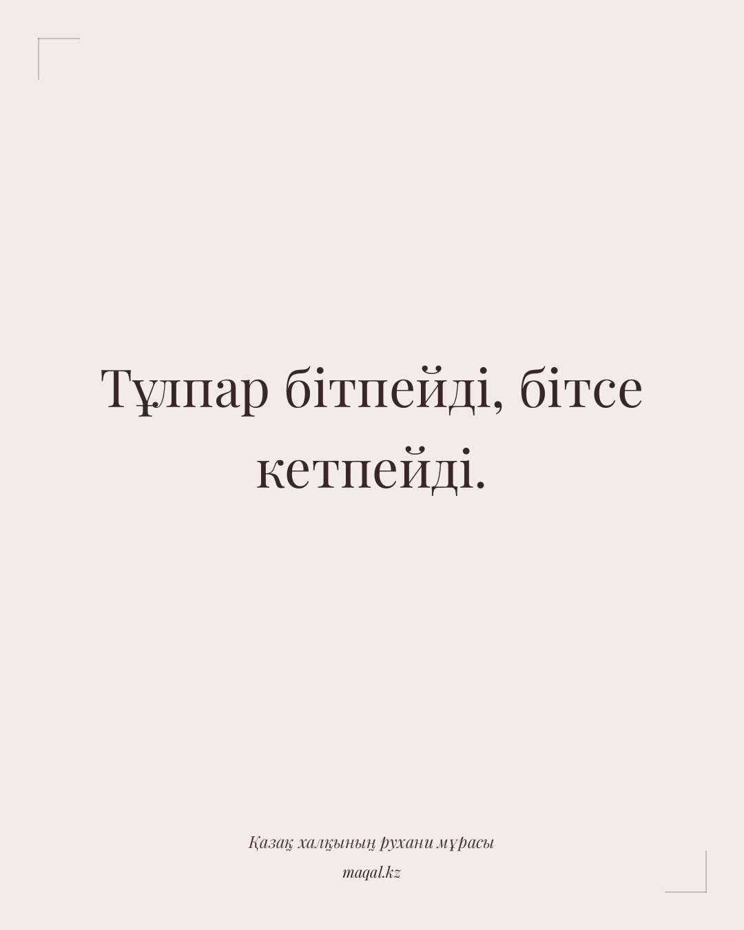 Тұлпар бітпейді, бітсе кетпейді. — қазақша мақал