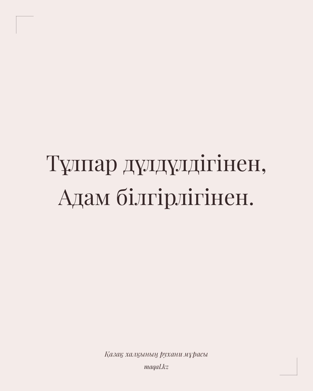 Тұлпар дүлдүлдігінен, Адам білгірлігінен. — қазақша мақал