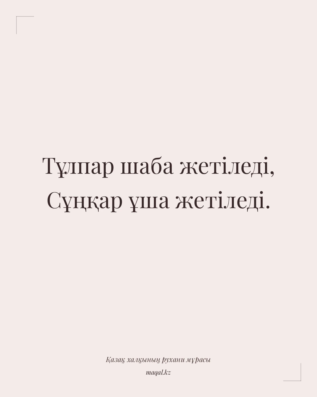Тұлпар шаба жетіледі, Сұңқар ұша жетіледі. — қазақша мақал