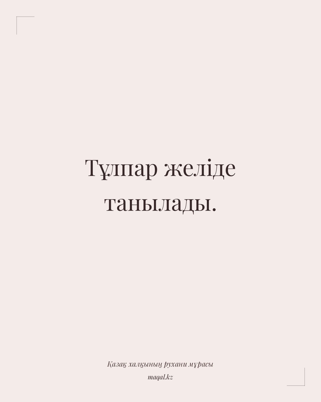 Тұлпар желіде танылады. — қазақша мақал