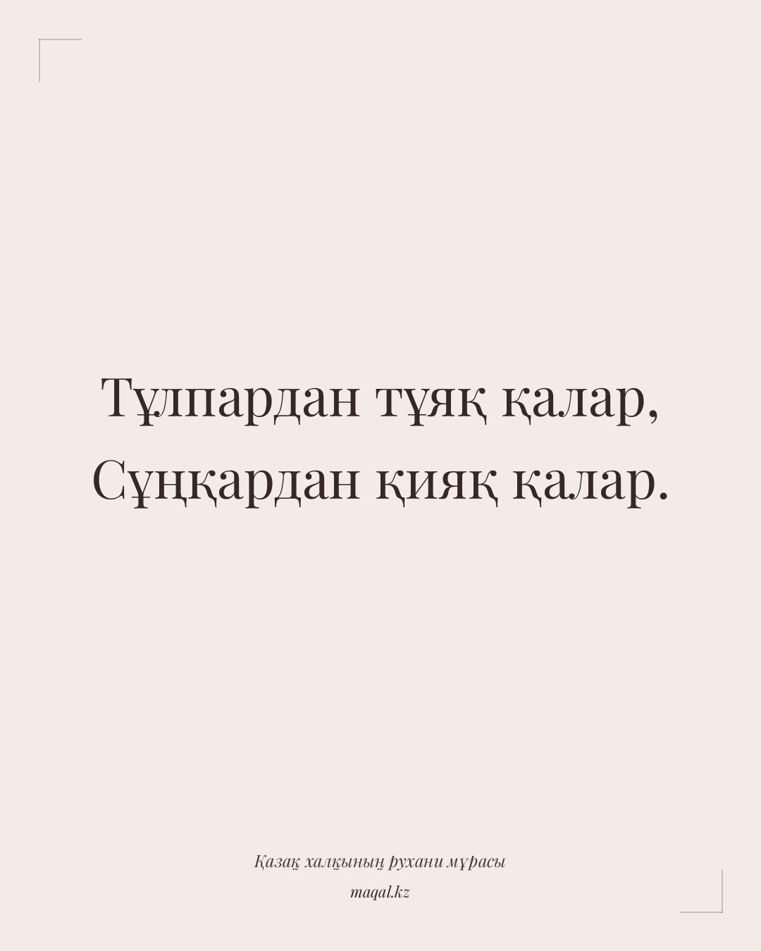 Тұлпардан тұяқ қалар, Сұңқардан қияқ қалар. — қазақша мақал