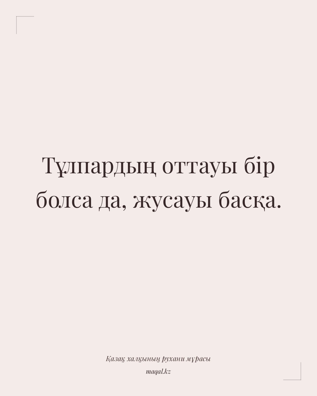 Тұлпардың оттауы бір болса да, жусауы басқа. — қазақша мақал