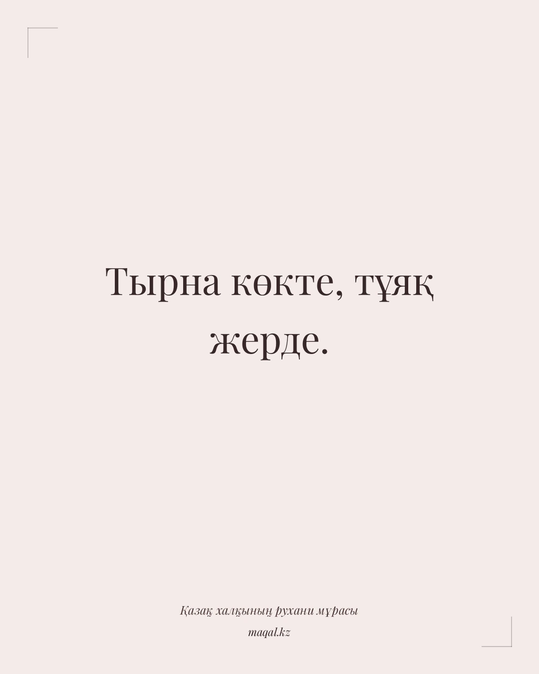 Тырна көкте, тұяқ жерде. — қазақша мақал