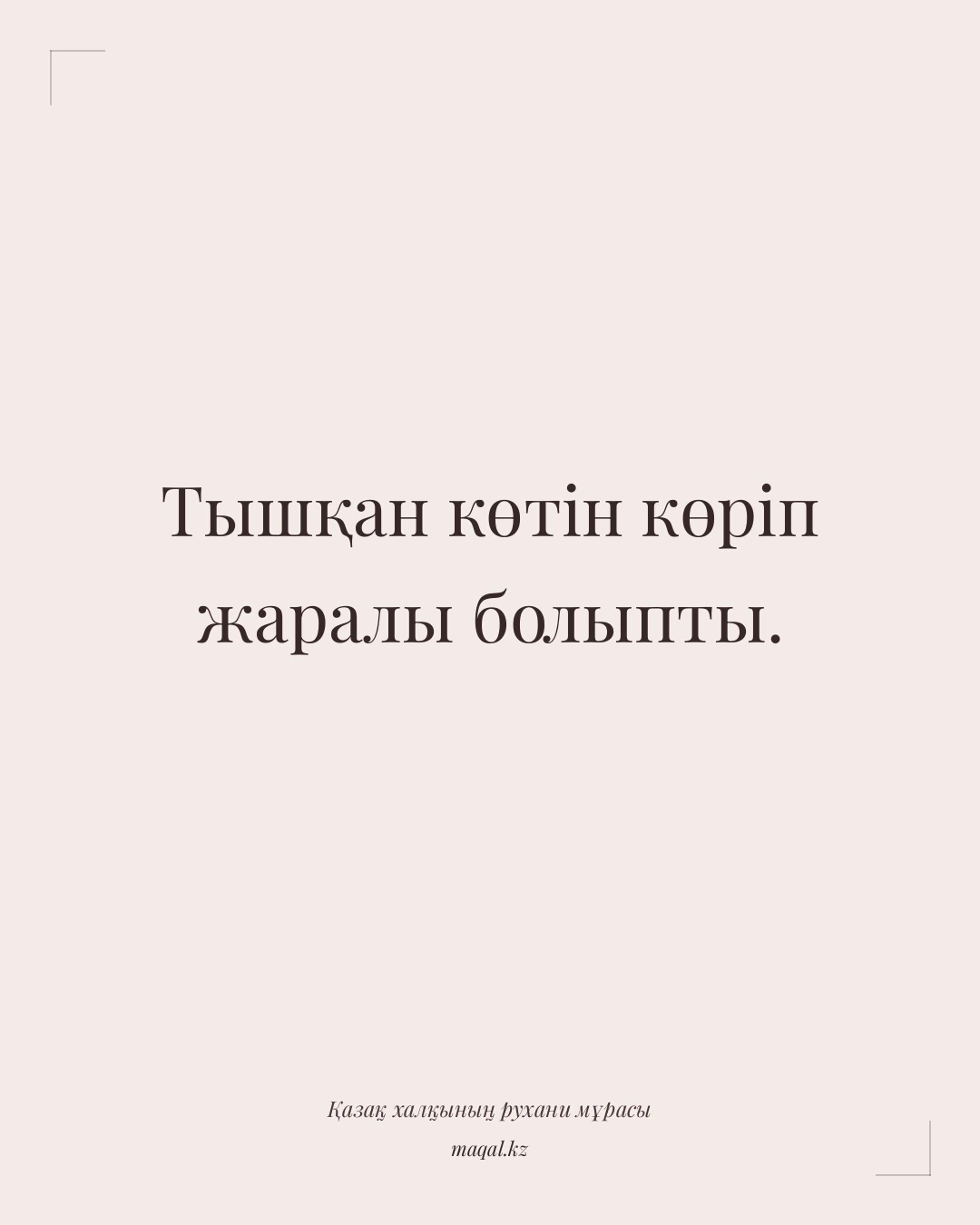 Тышқан көтін көріп жаралы болыпты. — қазақша мақал
