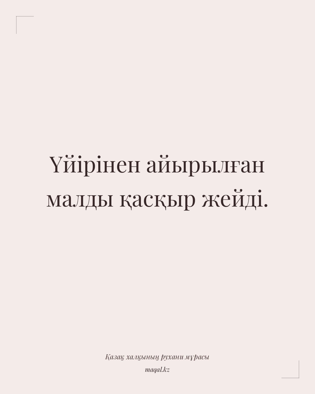 Үйірінен айырылған малды қасқыр жейді. — қазақша мақал