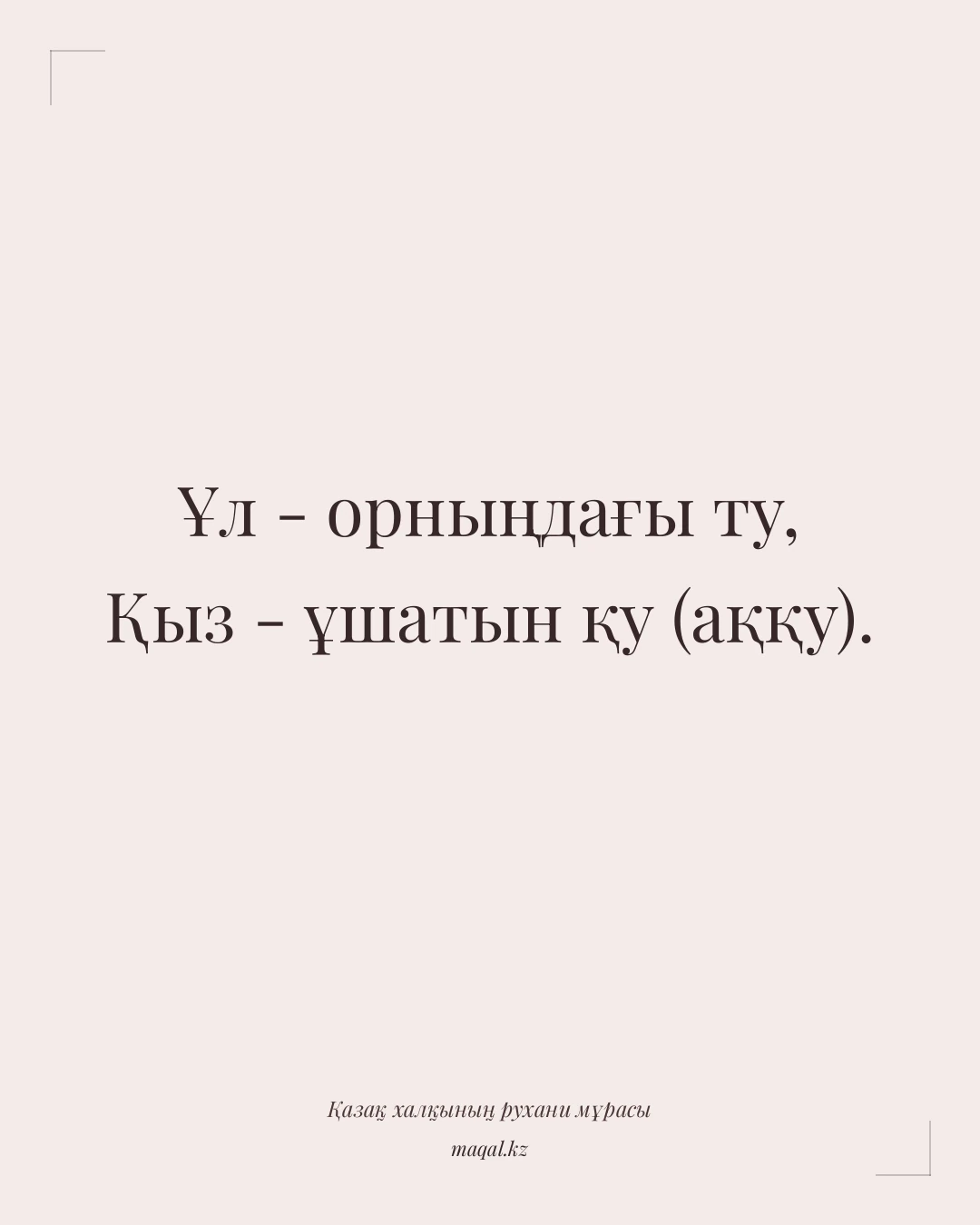 Ұл - орныңдағы ту, Қыз - ұшатын қу (аққу). — қазақша мақал