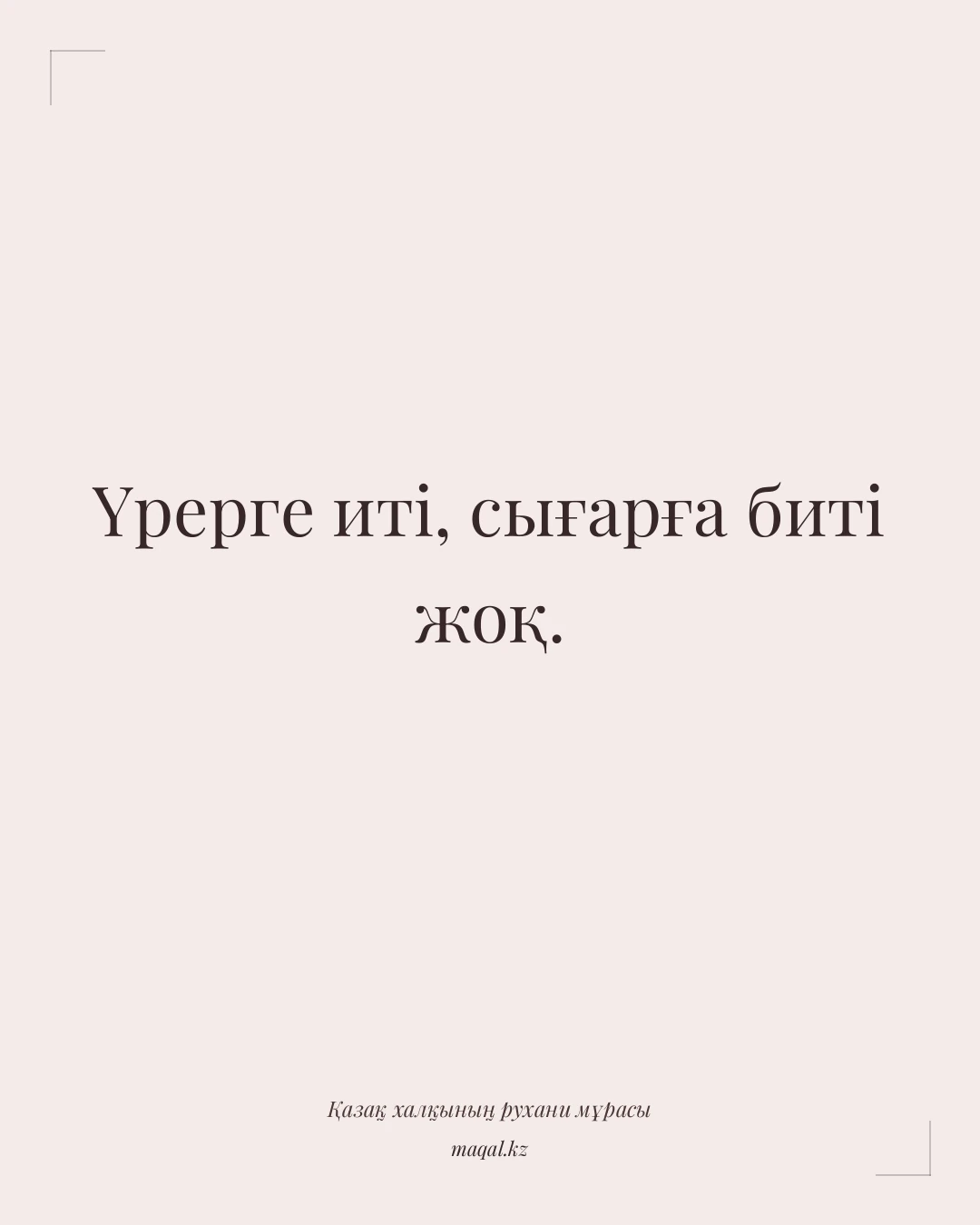 Үрерге иті, сығарға биті жоқ. — қазақша мақал
