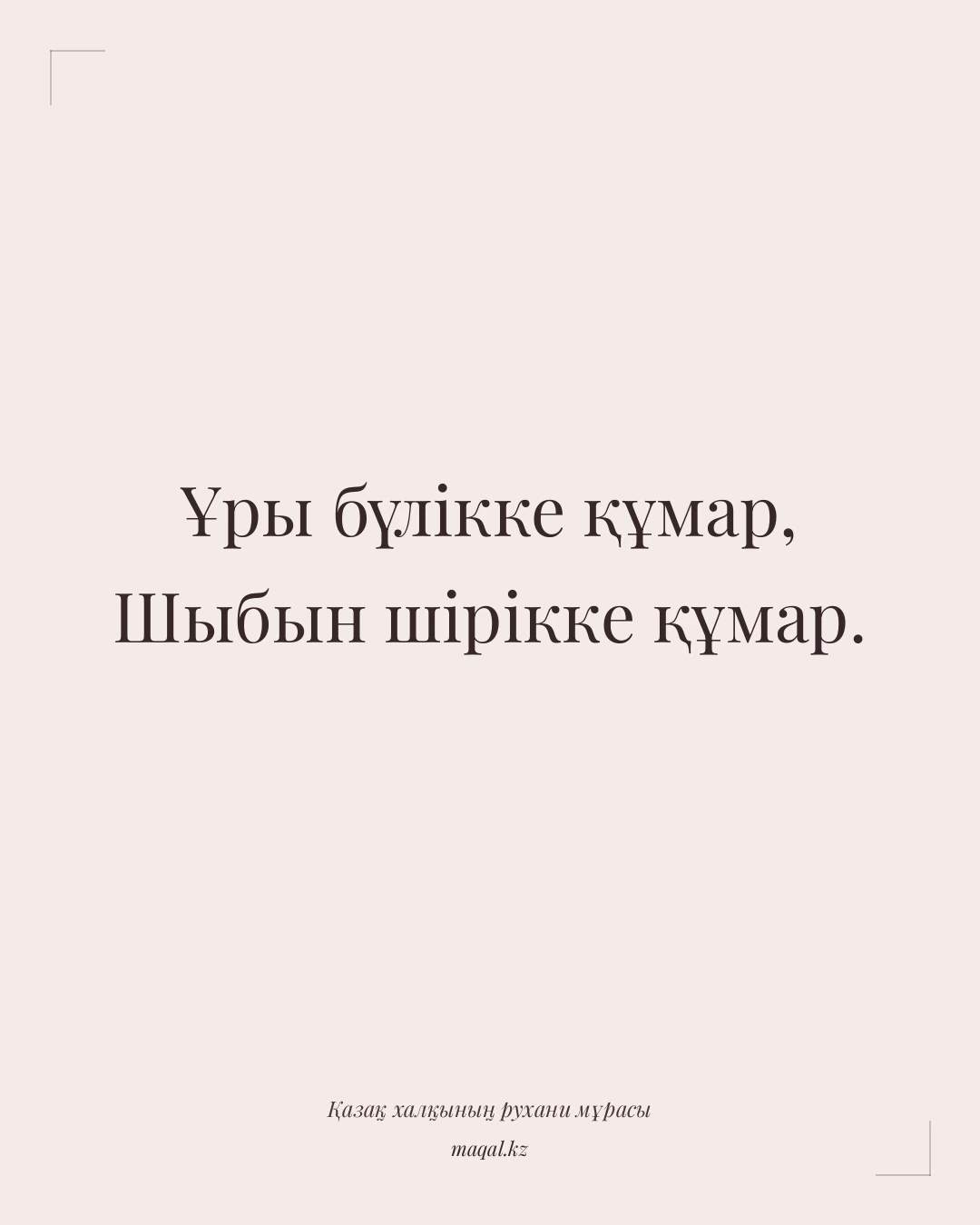 Ұры бүлікке құмар, Шыбын шірікке құмар. — қазақша мақал