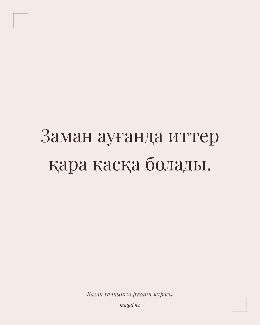 Заман ауғанда иттер қара қасқа болады. — қазақша мақал