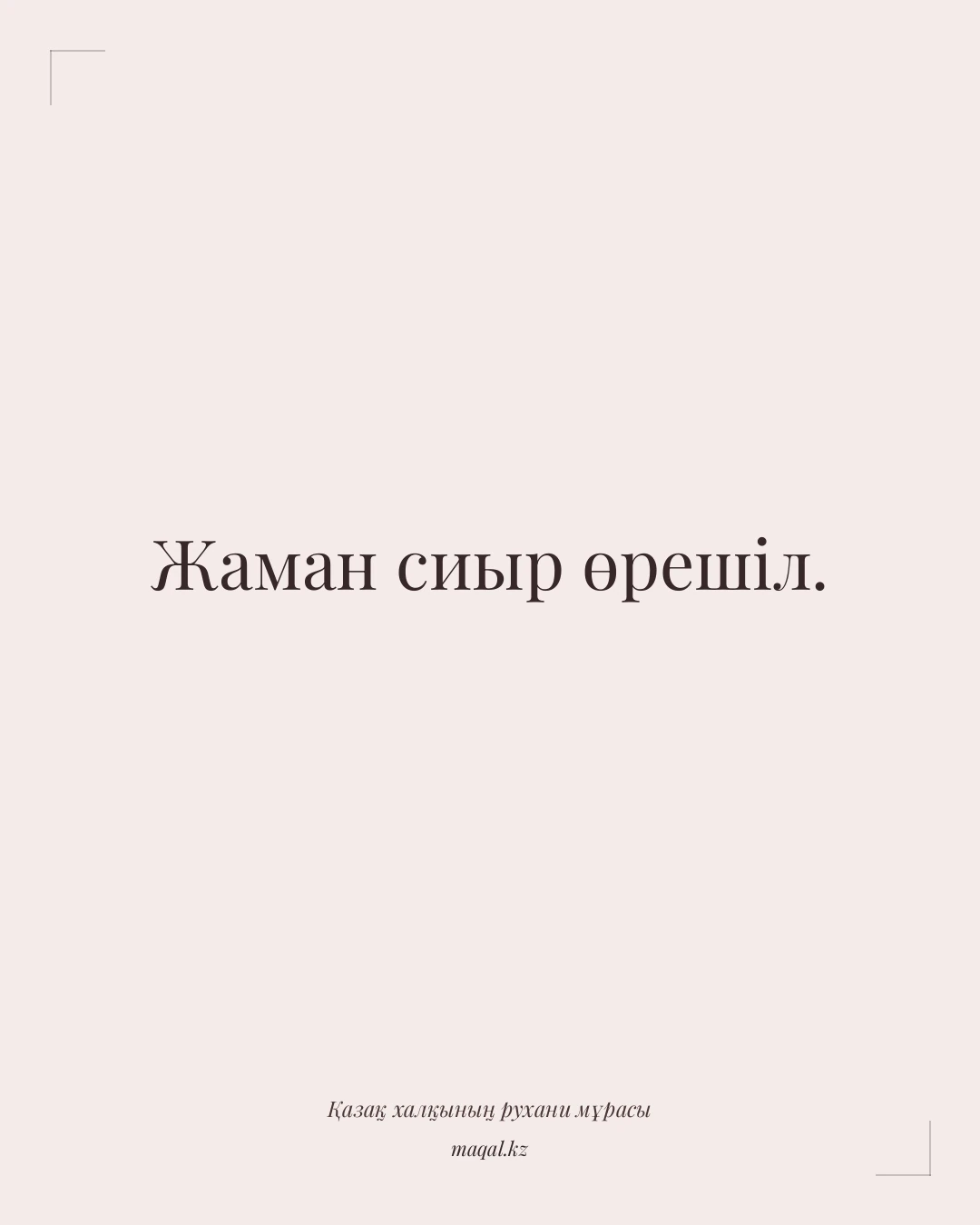 Жаман сиыр өрешіл. — қазақша мақал