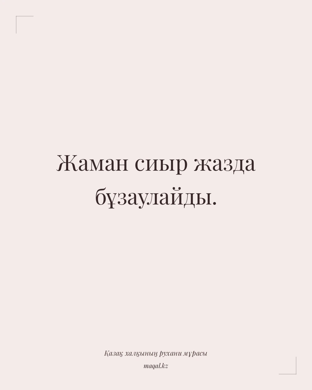 Жаман сиыр жазда бұзаулайды. — қазақша мақал