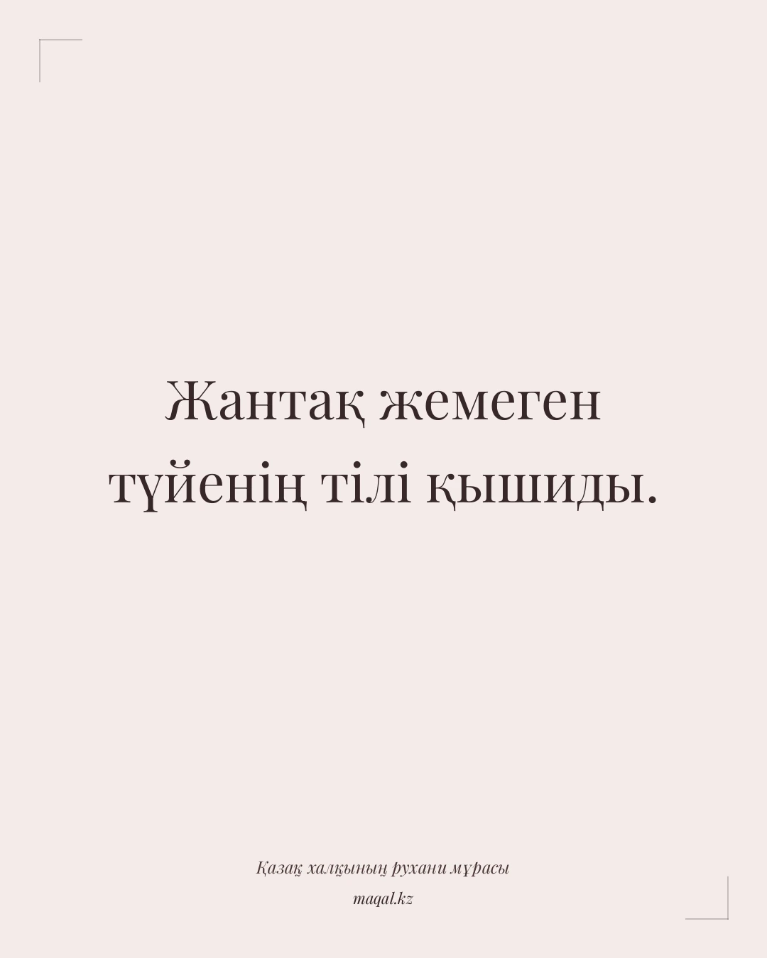 Жантақ жемеген түйенің тілі қышиды. — қазақша мақал
