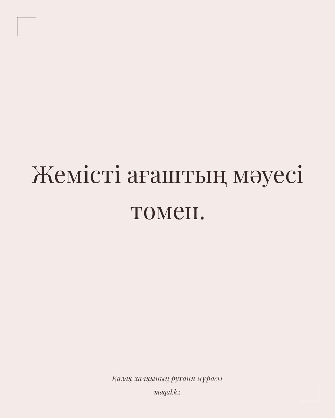 Жемісті ағаштың мәуесі төмен. — қазақша мақал