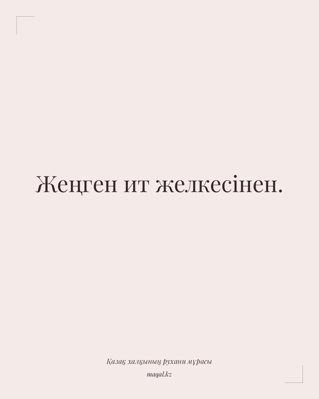 Жеңген ит желкесінен. — қазақша мақал