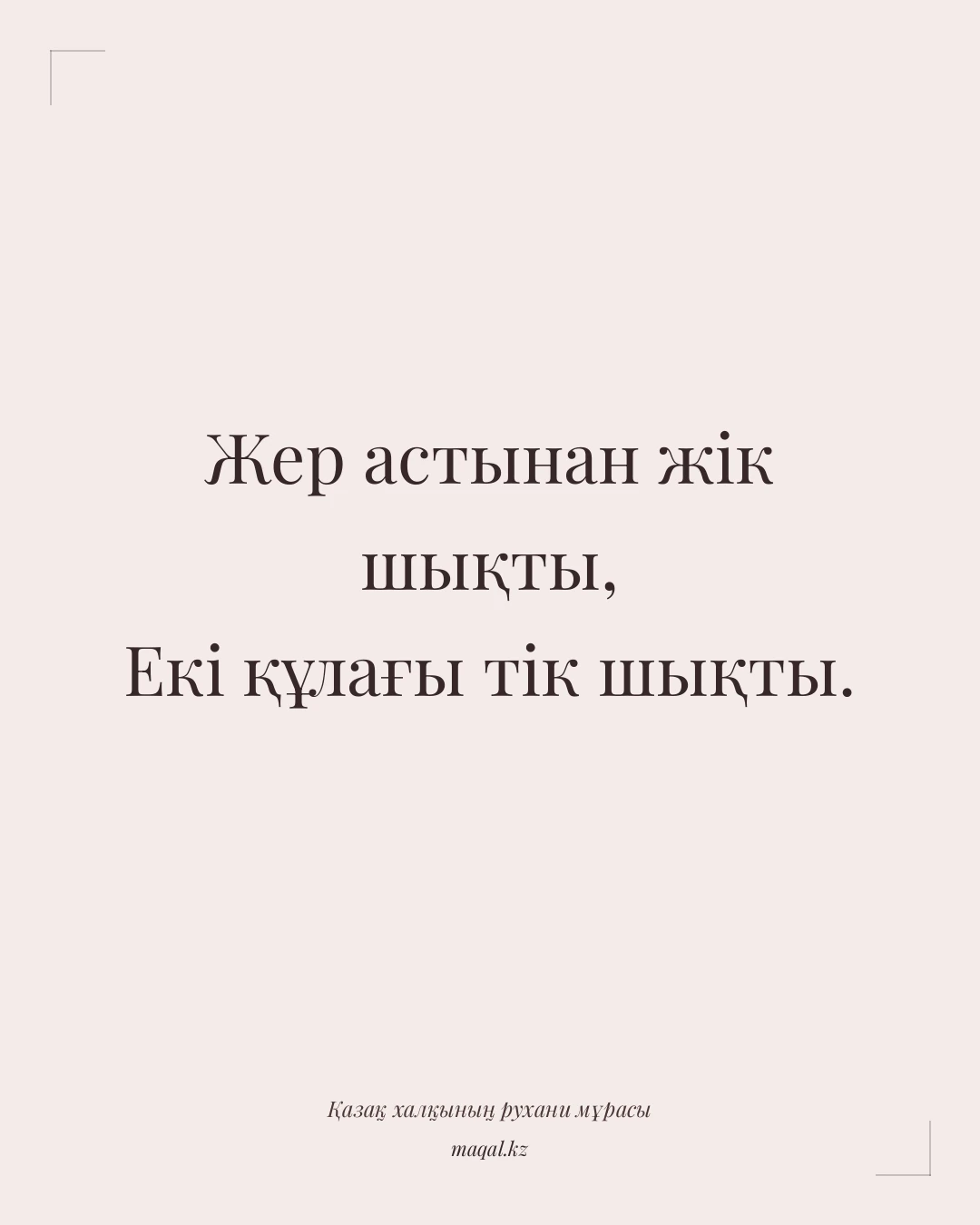 Жер астынан жік шықты, Екі құлағы тік шықты. — қазақша мақал