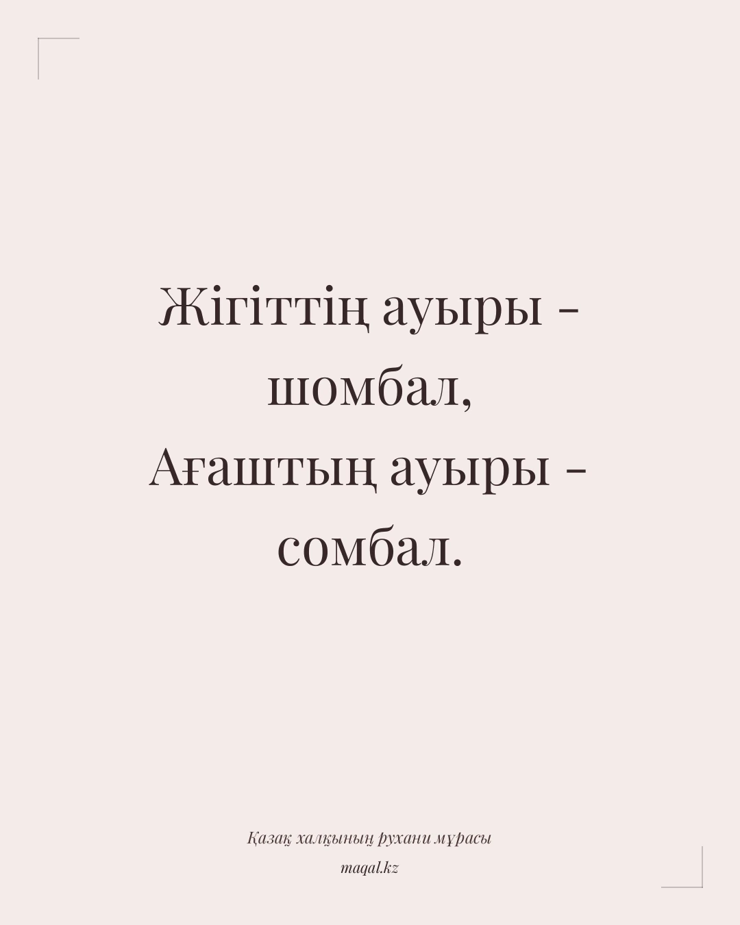 Жігіттің ауыры - шомбал, Ағаштың ауыры - сомбал. — қазақша мақал