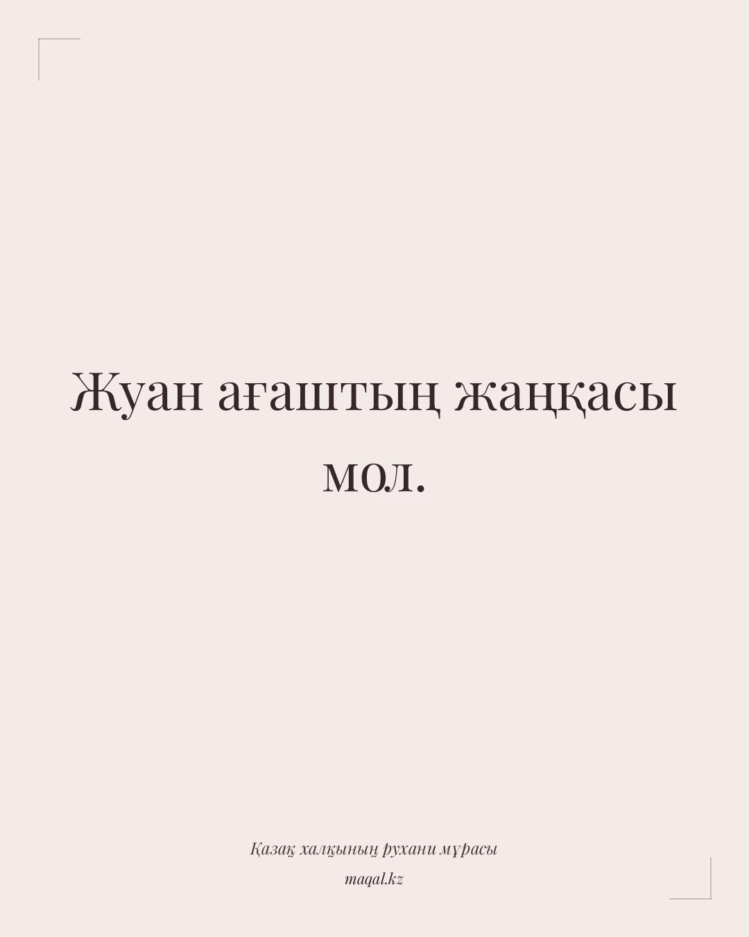 Жуан ағаштың жаңқасы мол. — қазақша мақал
