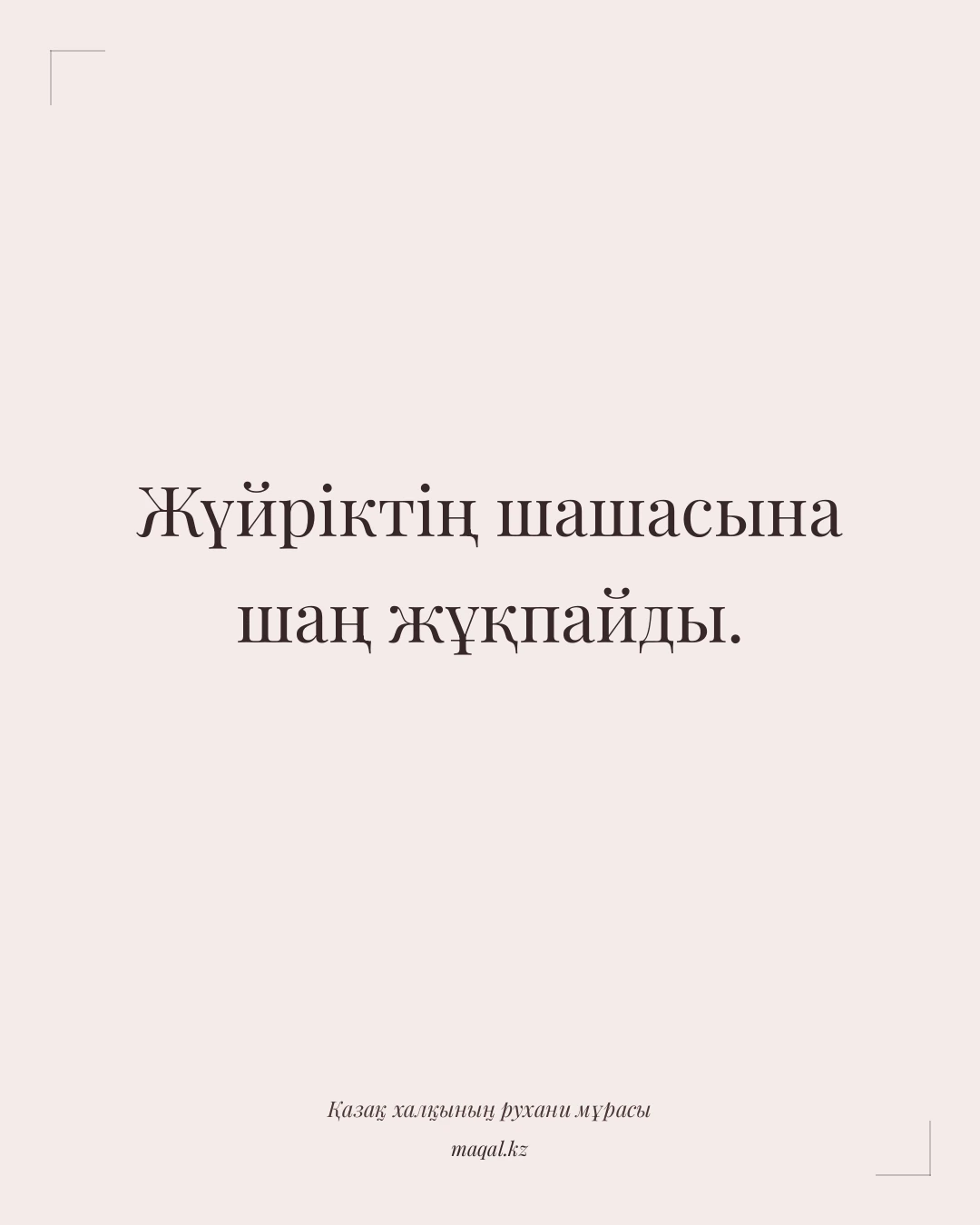 Жүйріктің шашасына шаң жұқпайды. — қазақша мақал