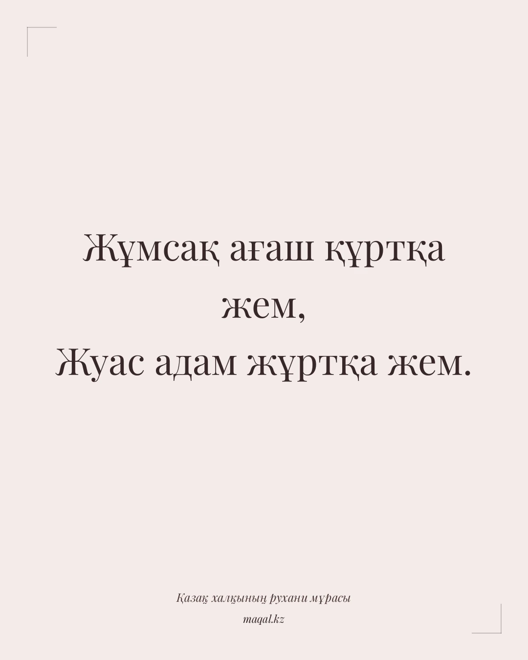 Жұмсақ ағаш құртқа жем, Жуас адам жұртқа жем. — қазақша мақал