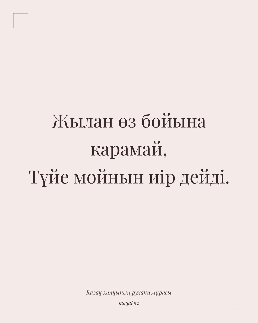 Жылан өз бойына қарамай, Түйе мойнын иір дейді. — қазақша мақал