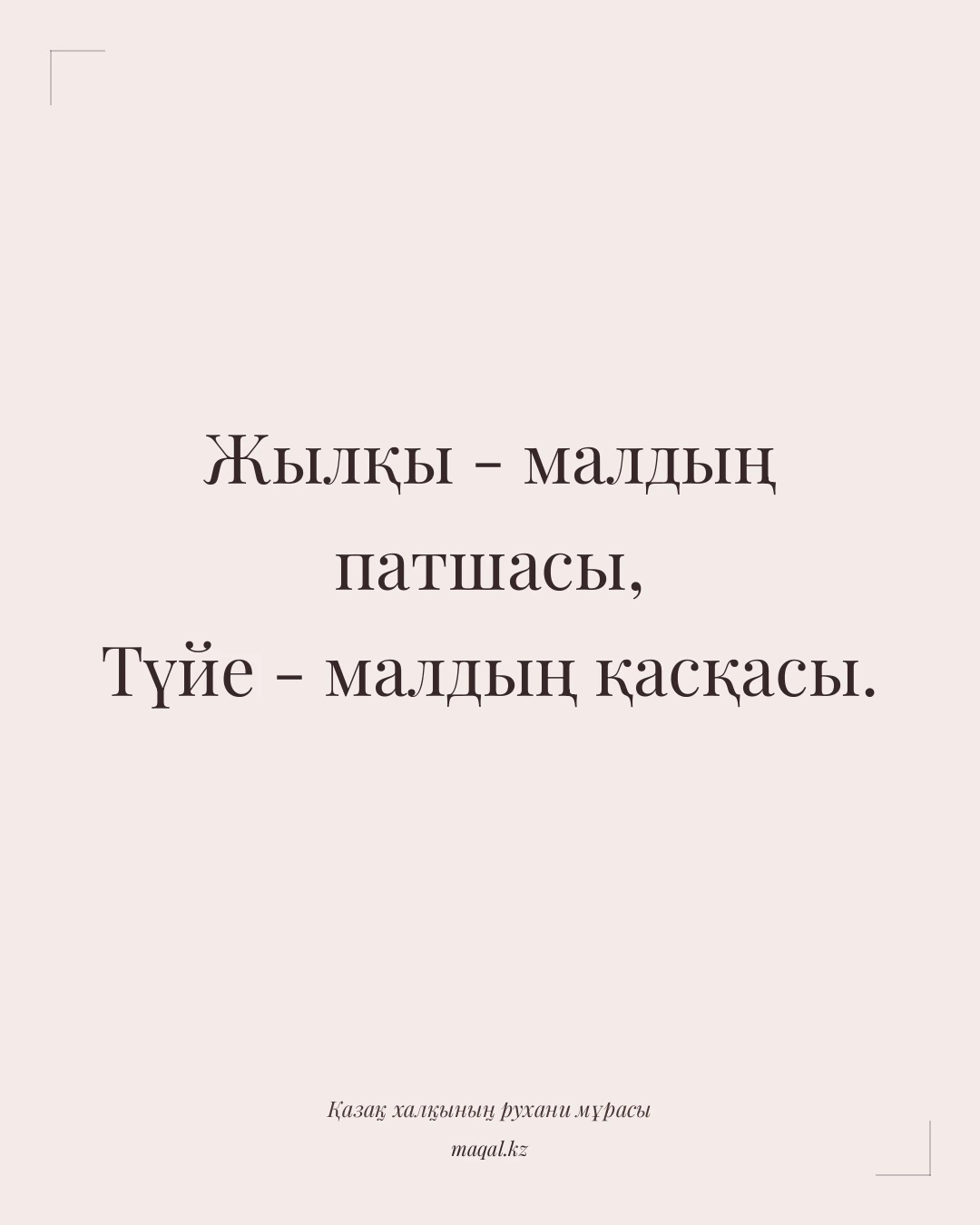 Жылқы - малдың патшасы, Түйе - малдың қасқасы. — қазақша мақал