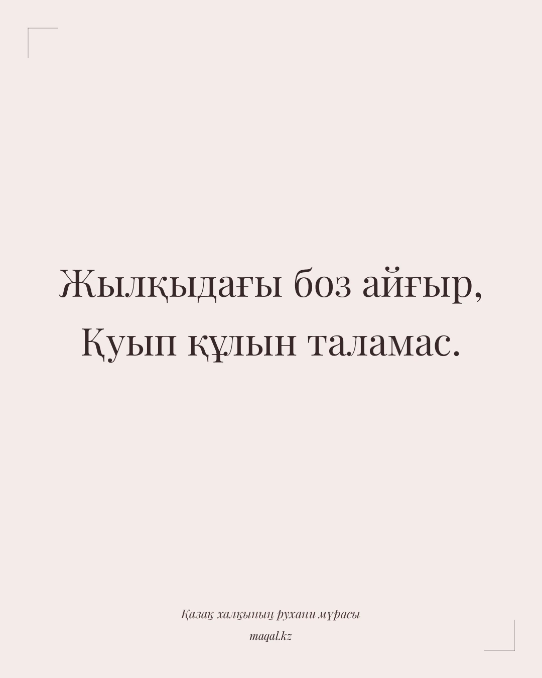Жылқыдағы боз айғыр, Қуып құлын таламас. — қазақша мақал